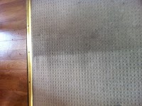 Excellence Carpet Cleaning Glasgow 356081 Image 2
